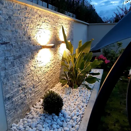 Luminary Night