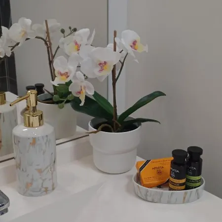 Luminary Night Hébergement de vacances Montévrain